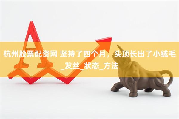 杭州股票配资网 坚持了四个月，头顶长出了小绒毛_发丝_状态_方法