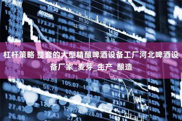 杠杆策略 整套的大型精酿啤酒设备工厂河北啤酒设备厂家_麦芽_生产_酿造
