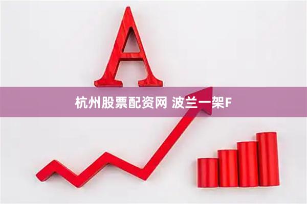 杭州股票配资网 波兰一架F