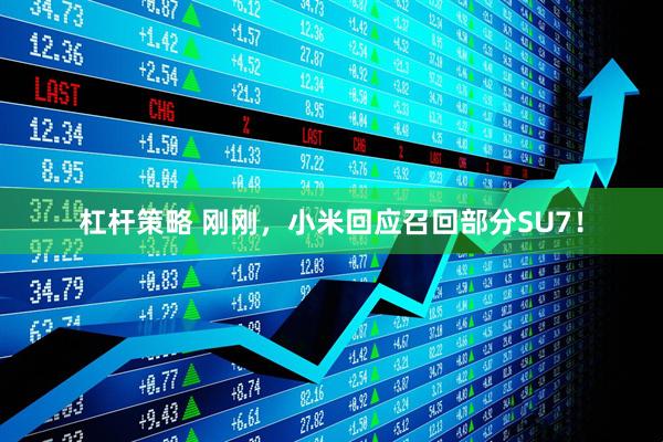 杠杆策略 刚刚，小米回应召回部分SU7！